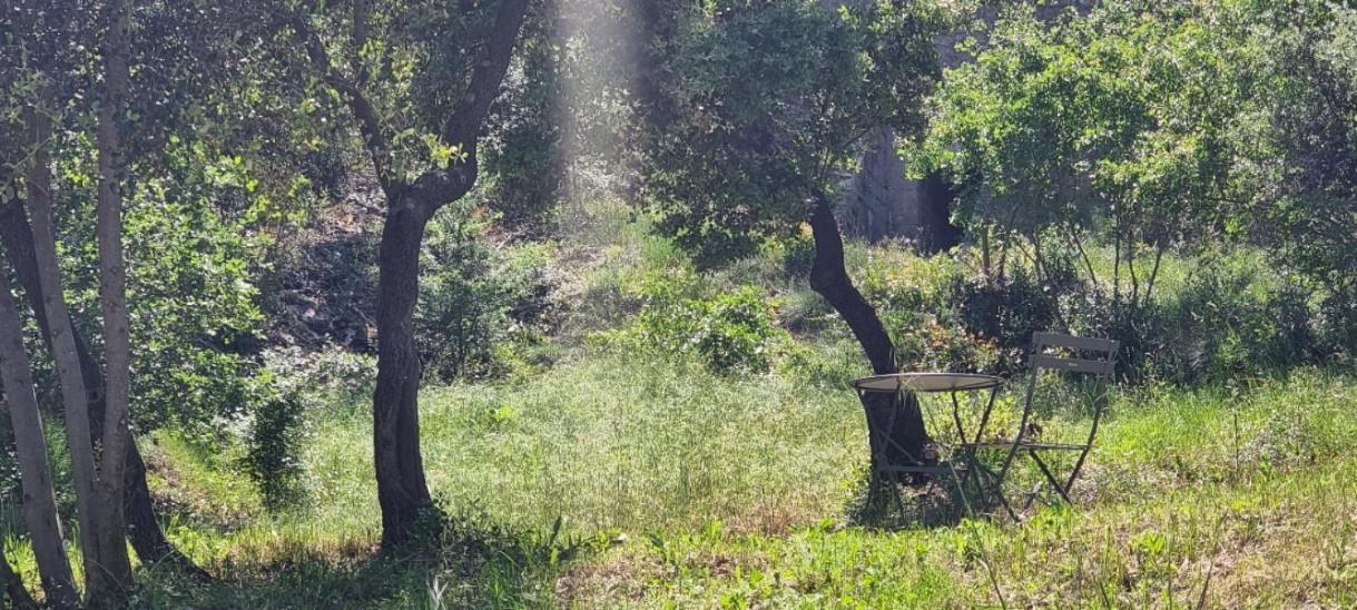 Les Bois De Zola Entre Provence Et Luberon Aparthotel Saint-Esteve-Janson Room photo