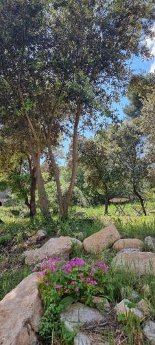 Les Bois De Zola Entre Provence Et Luberon Aparthotel Saint-Esteve-Janson Exterior photo